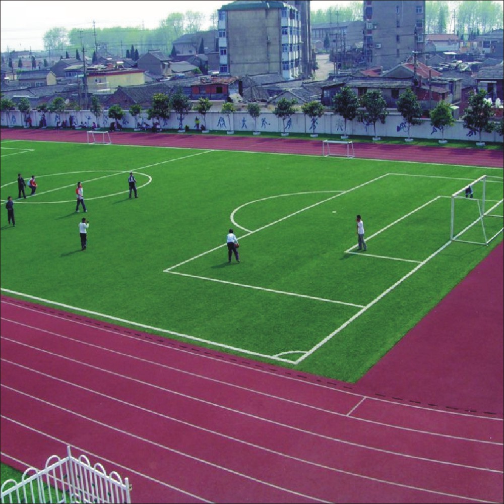 <strong>复合型跑道</strong>